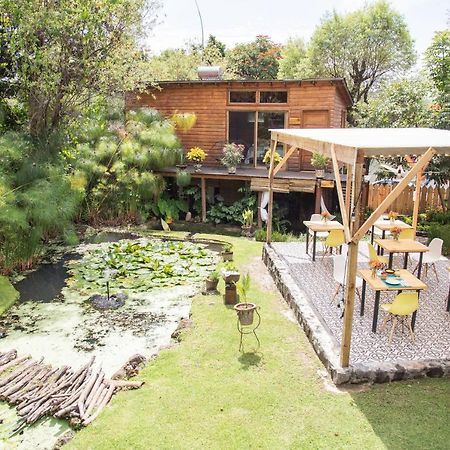 Canto De Aves Eco-Hotel Boutique Малиналько Экстерьер фото